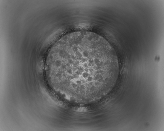 X0000113220647200910011346