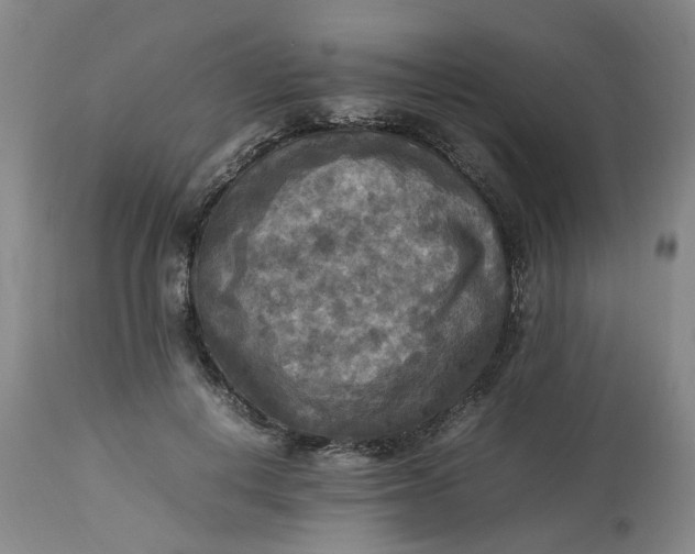 X0000113220648200910011346