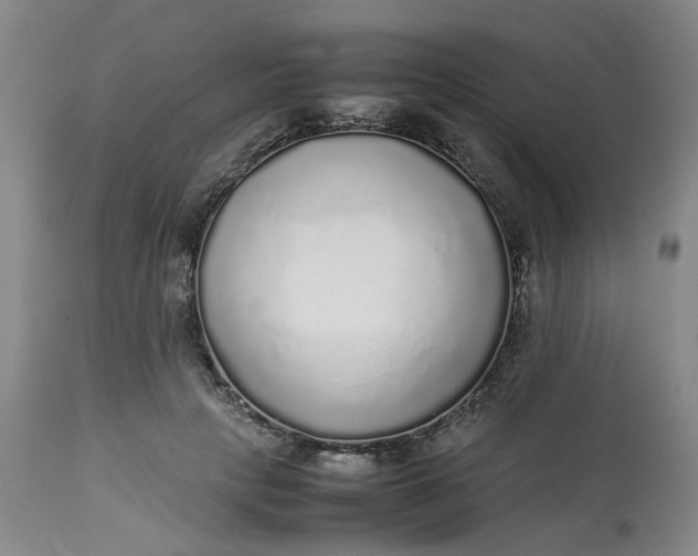 X0000113220649200910011346