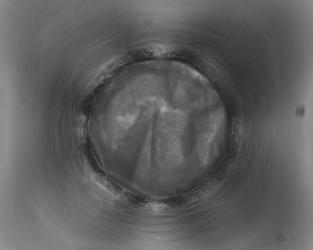 X0000113220650200910011346