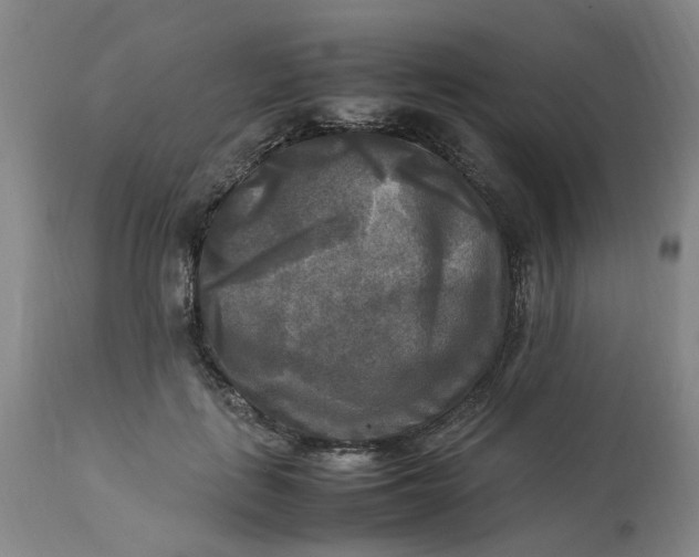 X0000113220651200910011346