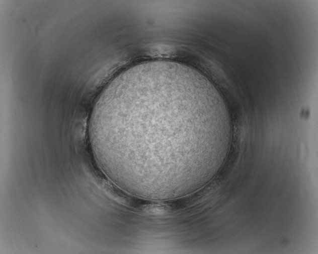 X0000113220652200910011346