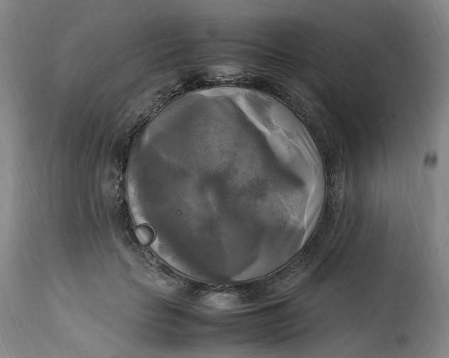 X0000113220653200910011346