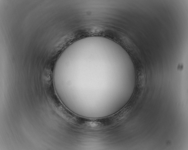 X0000113220654200910011346