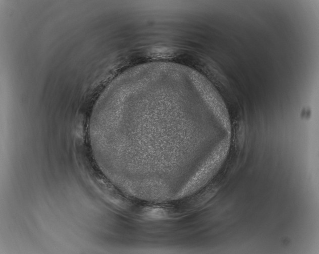 X0000113220655200910011346