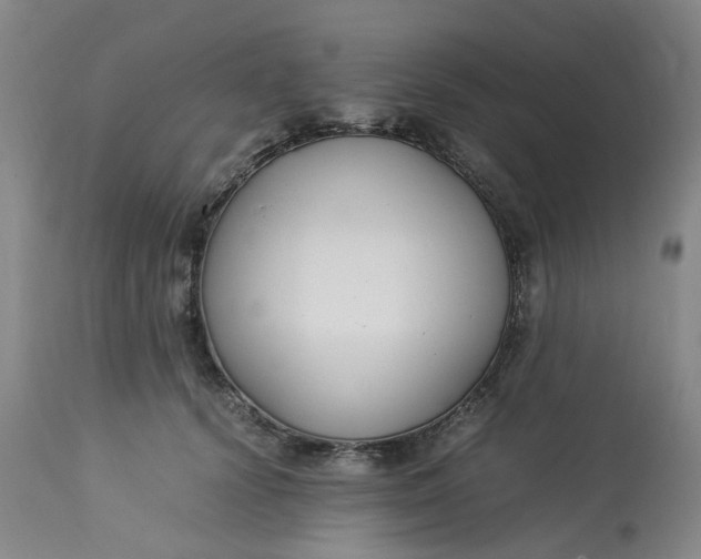 X0000113220656200910011346