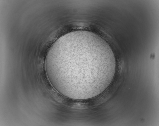 X0000113220657200910011346