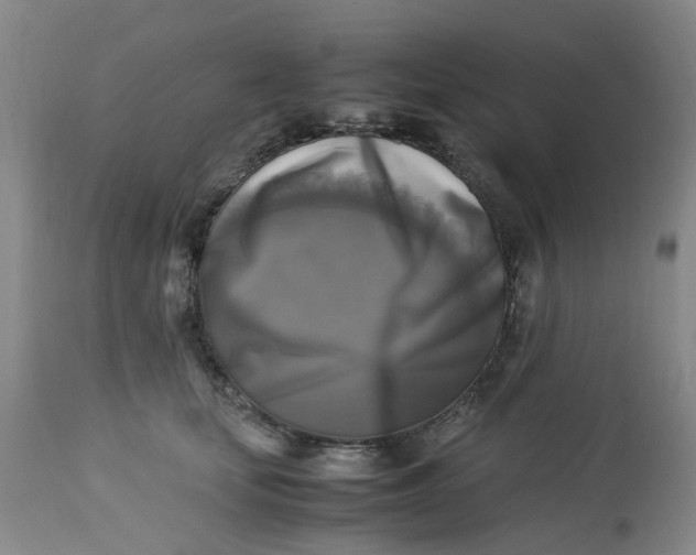 X0000113220659200910011346