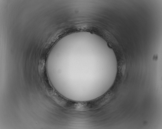 X0000113220660200910011346