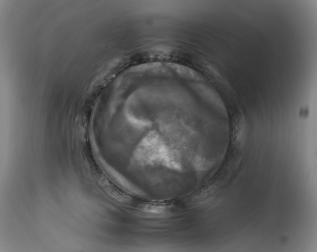 X0000113220661200910011346