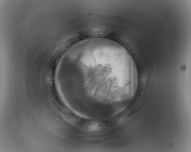 X0000113220663200910011346