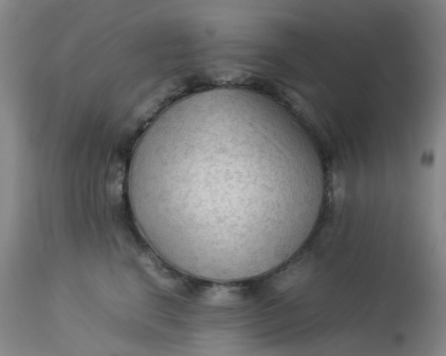 X0000113220664200910011346