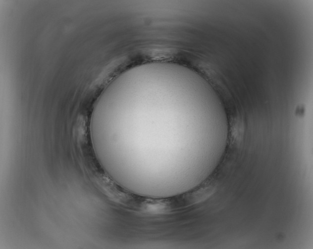 X0000113220667200910011346