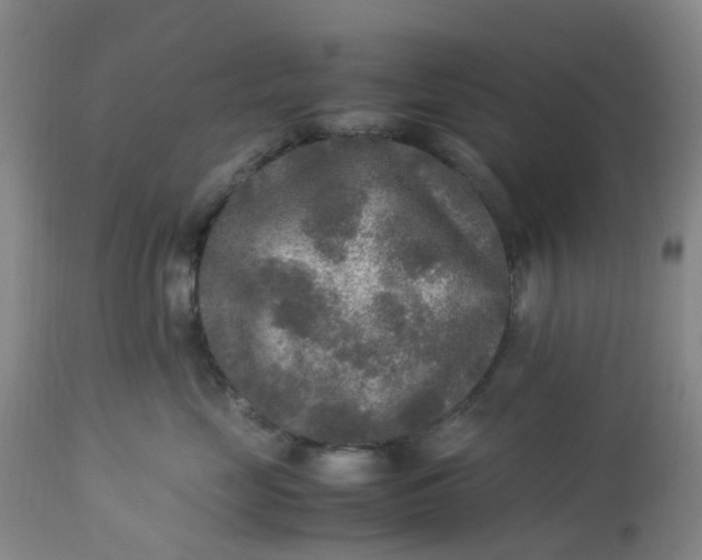 X0000113220669200910011346