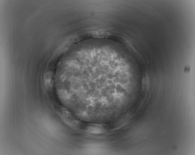 X0000113220671200910011346