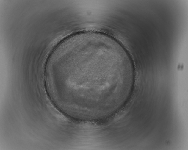 X0000113220673200910011346