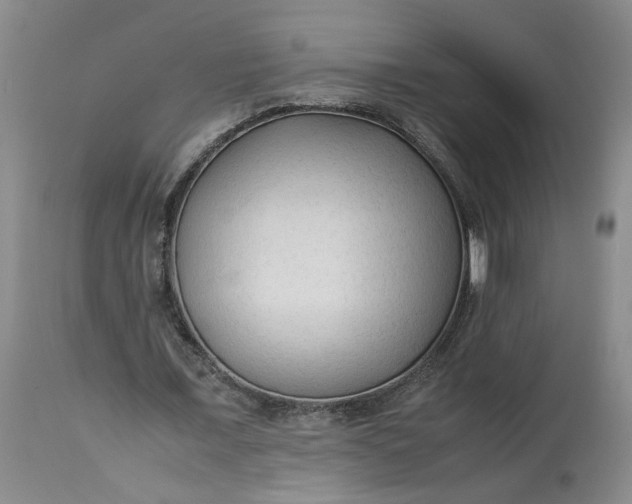 X0000113220675200910011346