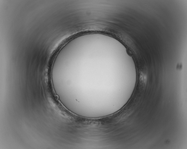 X0000113220676200910011346