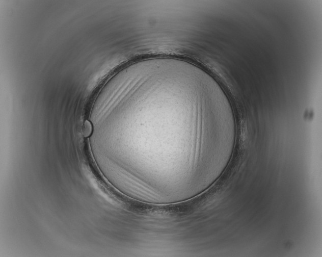 X0000113220677200910011346