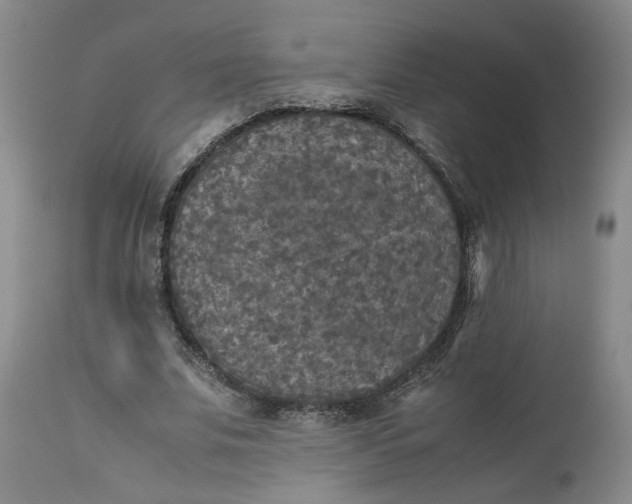 X0000113220679200910011346