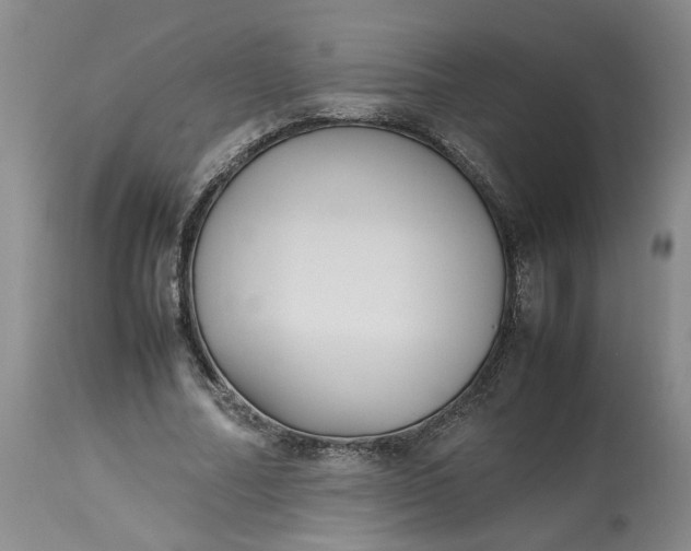 X0000113220682200910011346