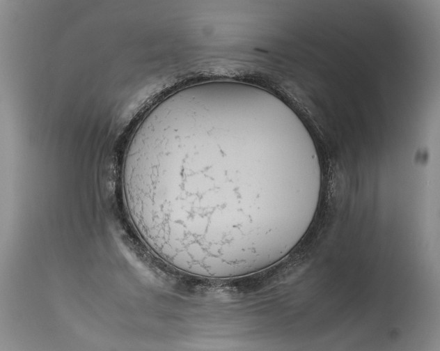 X0000113220683200910011346