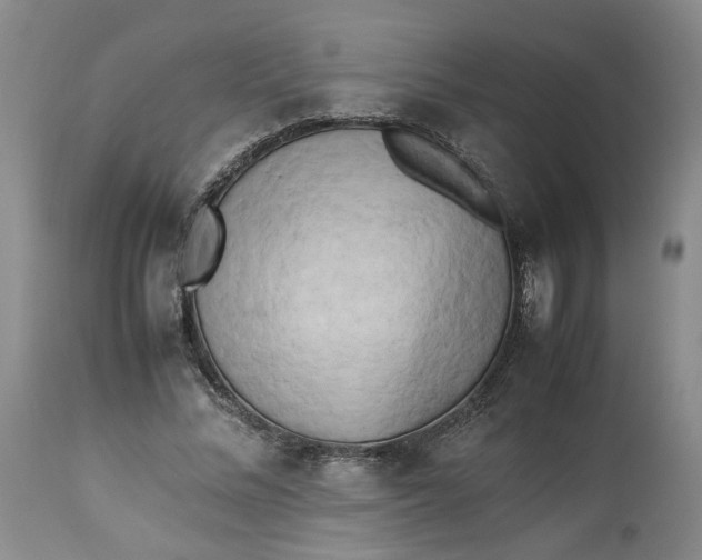 X0000113220684200910011346