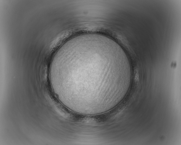 X0000113220685200910011346