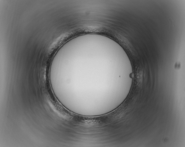 X0000113220686200910011346