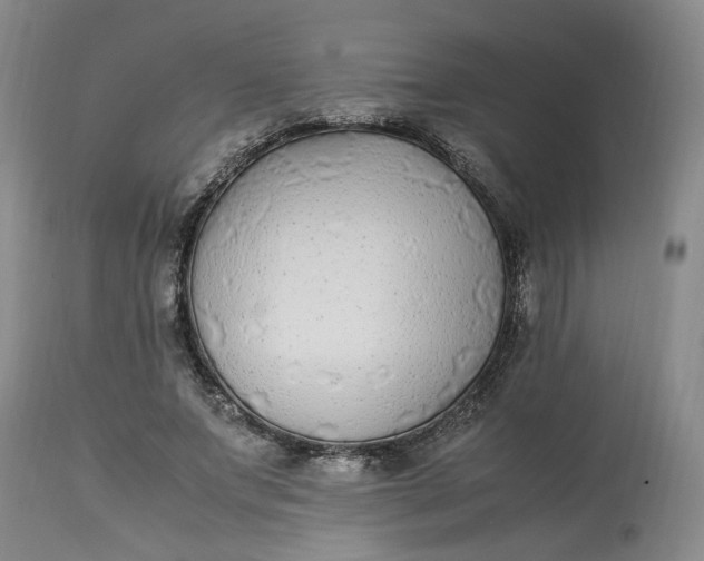 X0000113220687200910011346