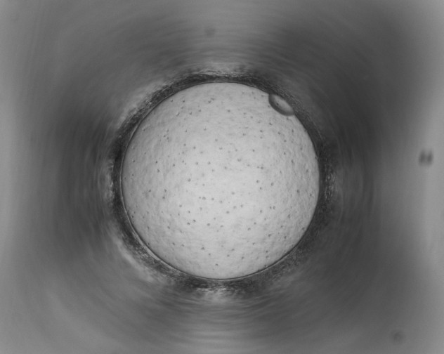 X0000113220688200910011346