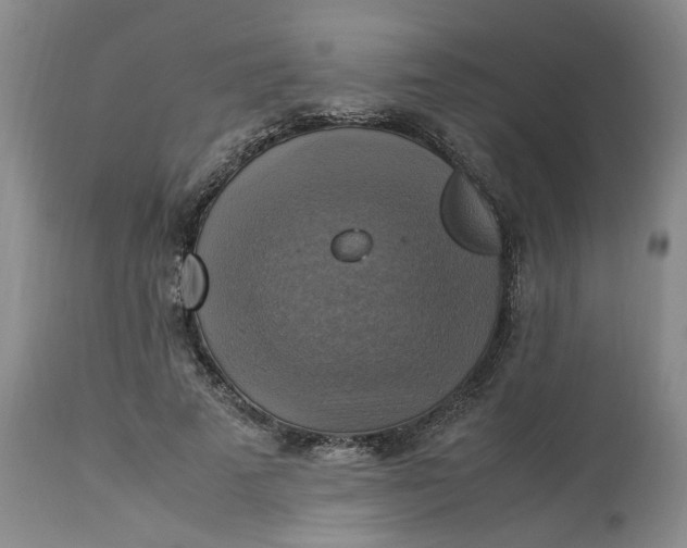 X0000113220689200910011345