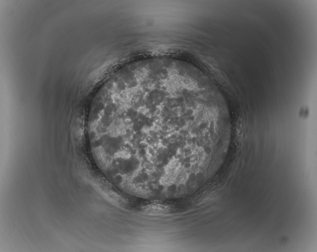 X0000113220691200910011345