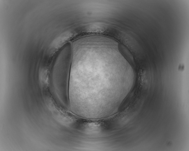 X0000113220692200910011345