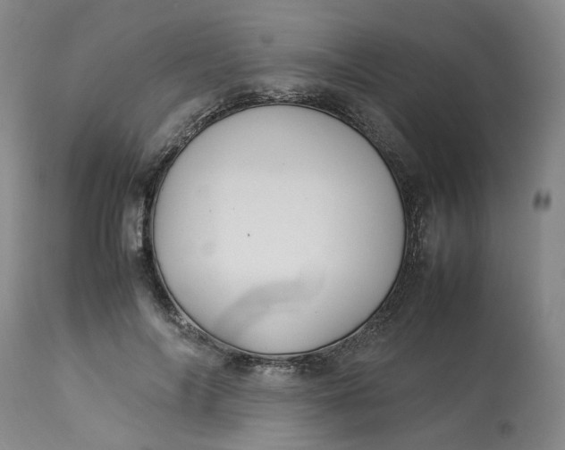 X0000113220694200910011345