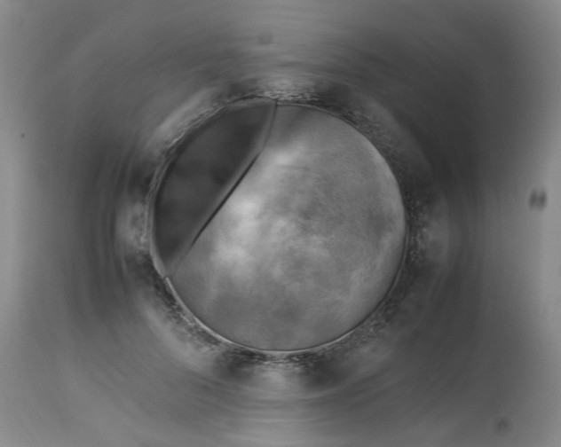 X0000113220696200910011345