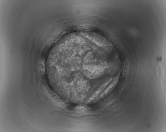 X0000113220699200910011345