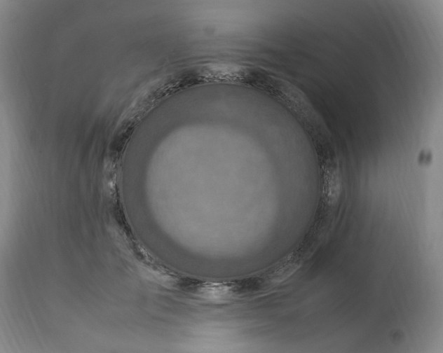 X0000113220701200910011345