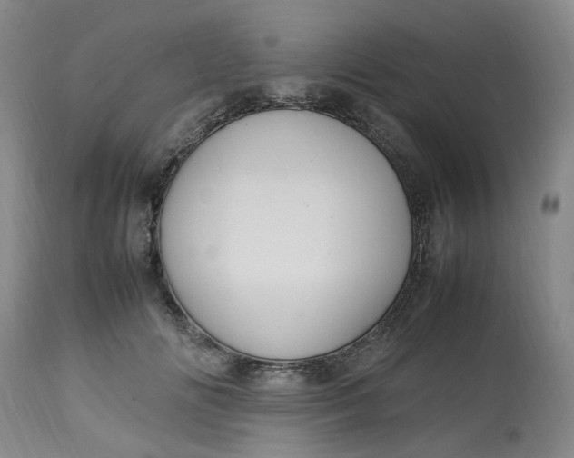 X0000113220702200910011345