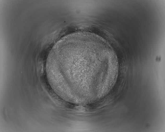 X0000113220703200910011345