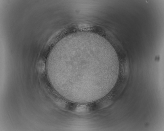 X0000113220705200910011345