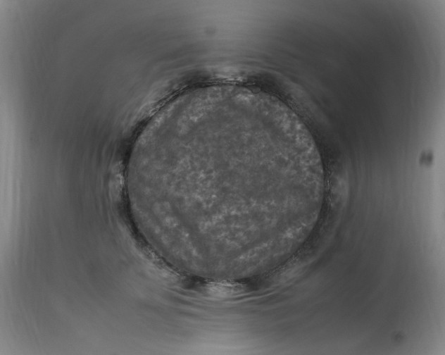 X0000113220707200910011345