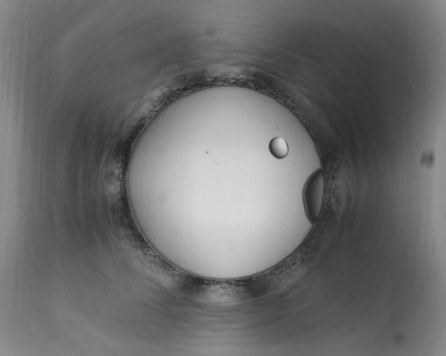 X0000113220708200910011345