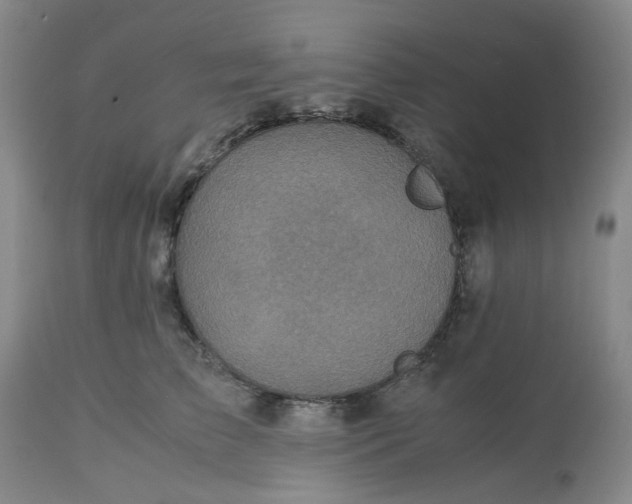 X0000113220709200910011345