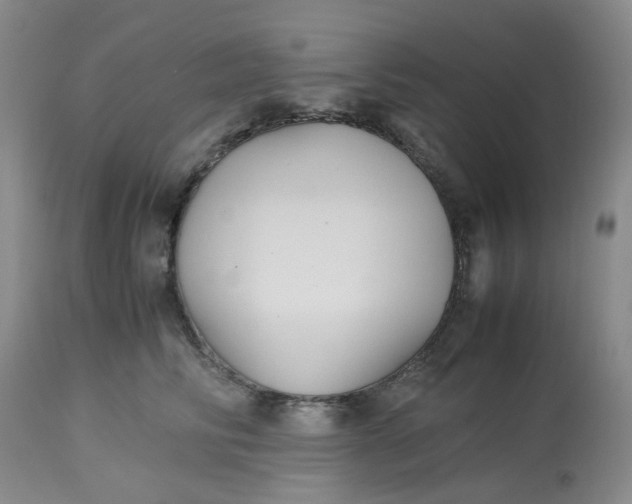 X0000113220710200910011345