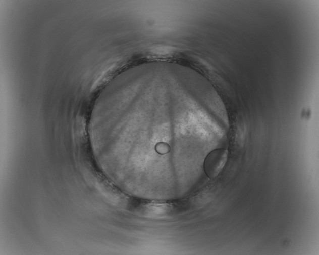 X0000113220711200910011345