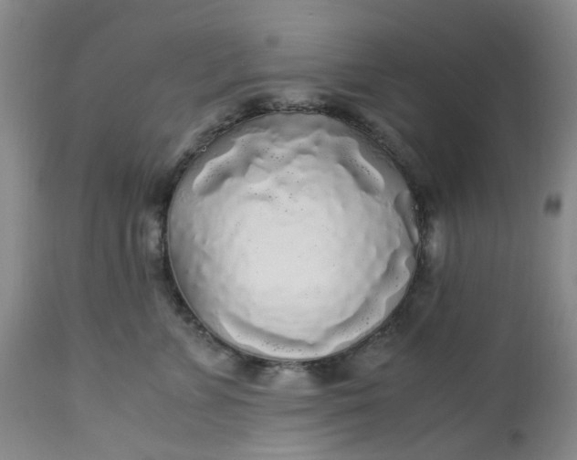 X0000113220715200910011345