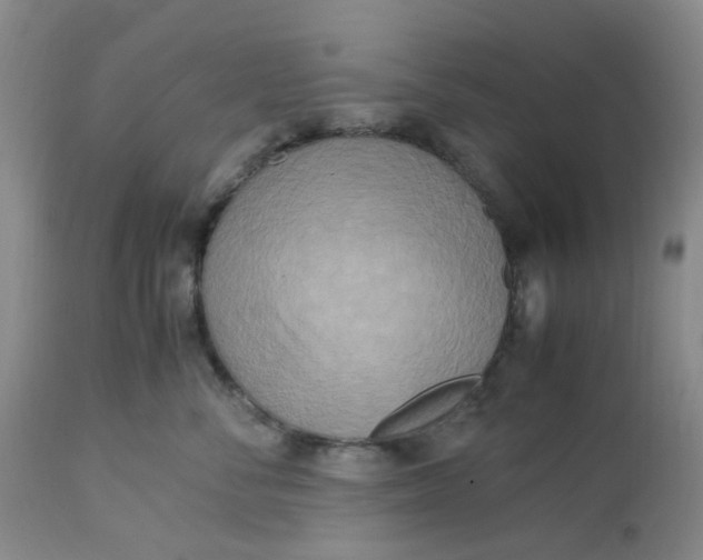 X0000113220716200910011345