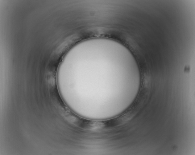 X0000113220719200910011345