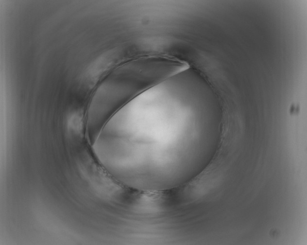 X0000113220720200910011345